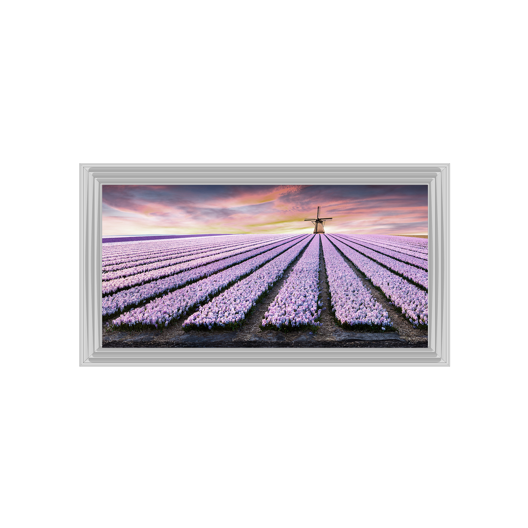 Purple Field