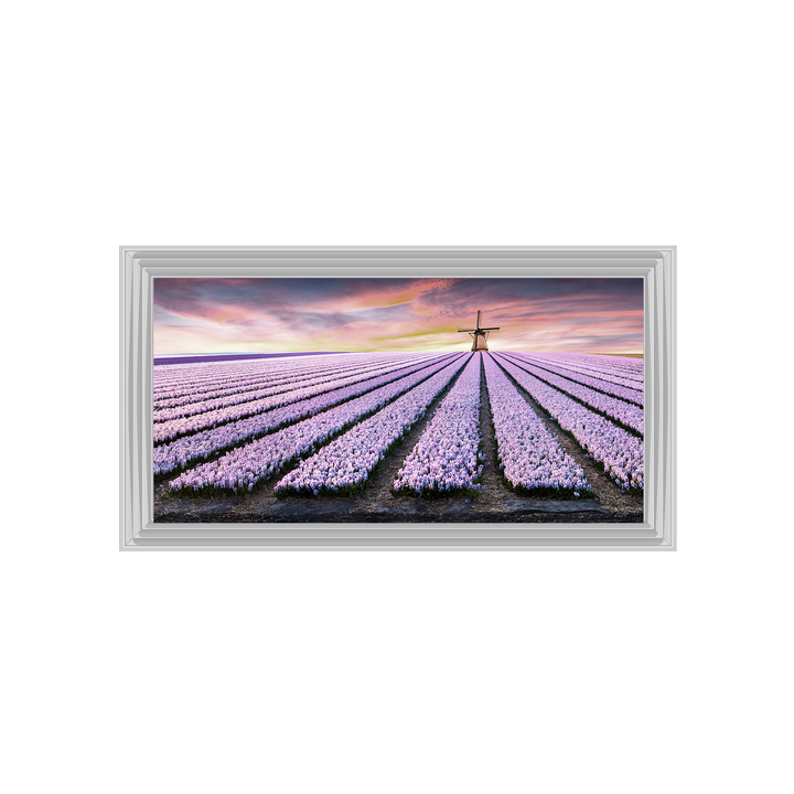 Purple Field