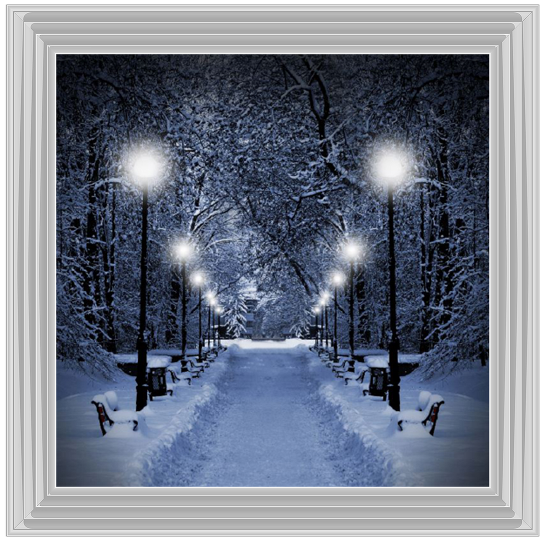 LS068 Wintery Park