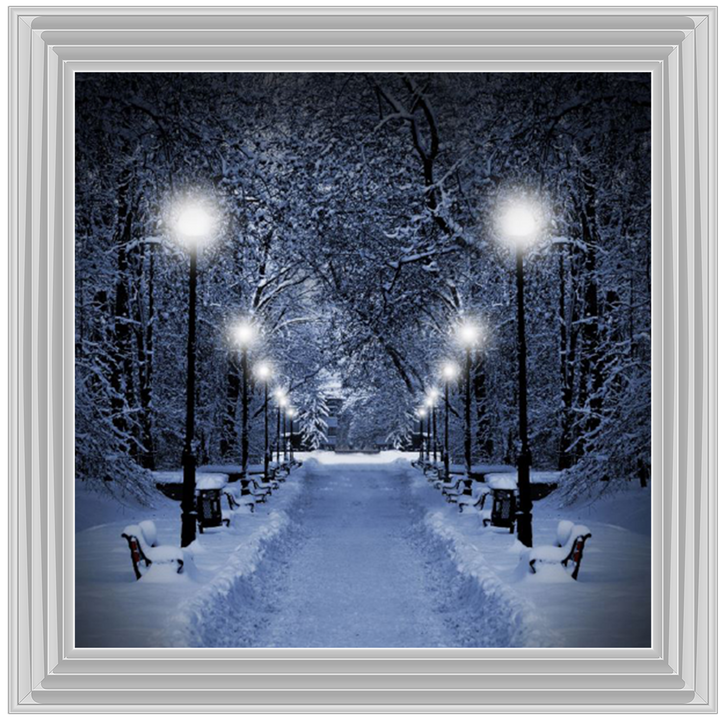 LS068 Wintery Park