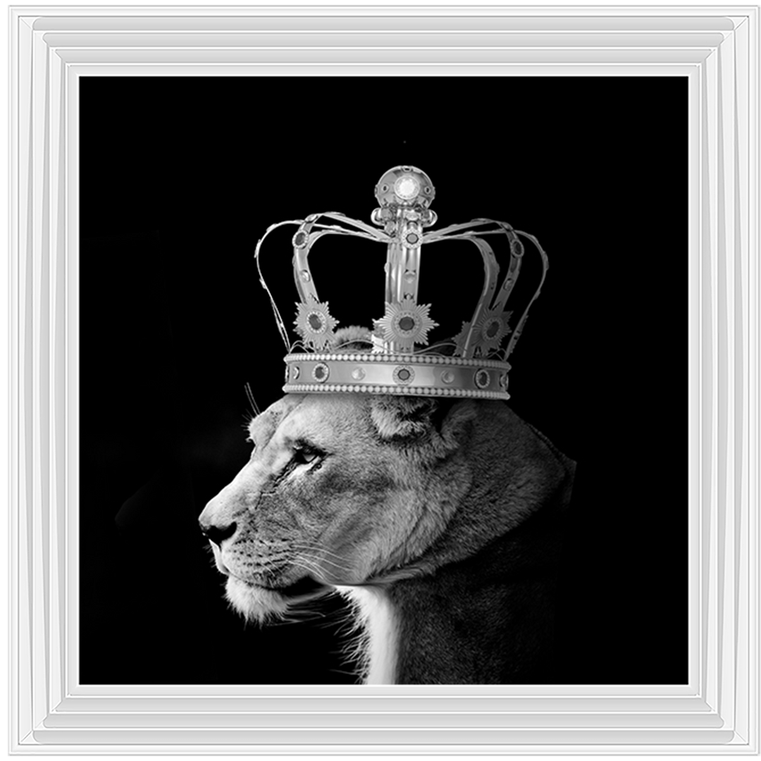 Queen Lion Silver