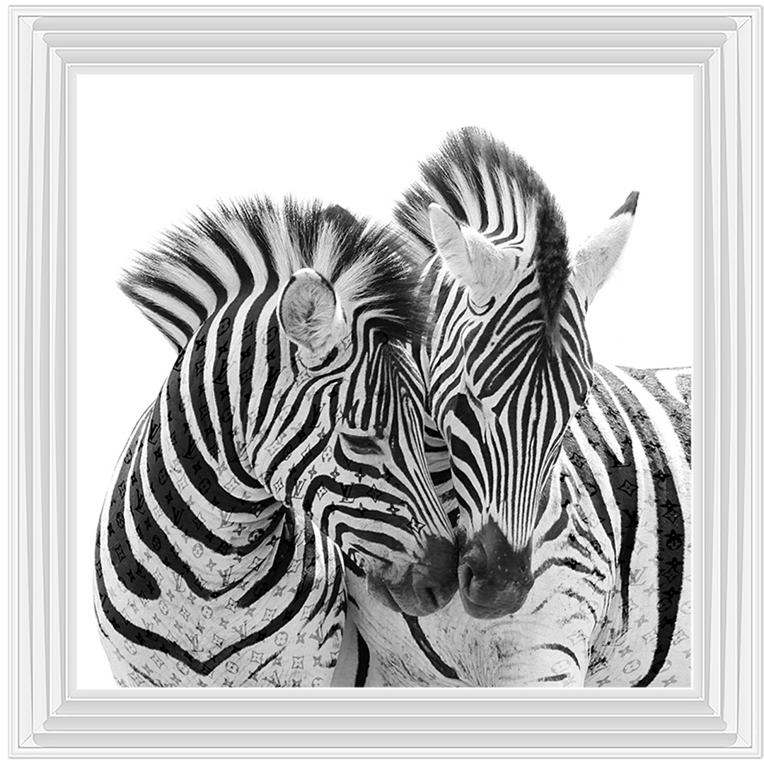 AN285 Zebra Love