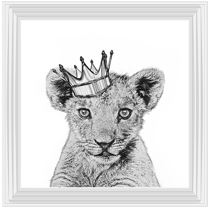 Prince Cub