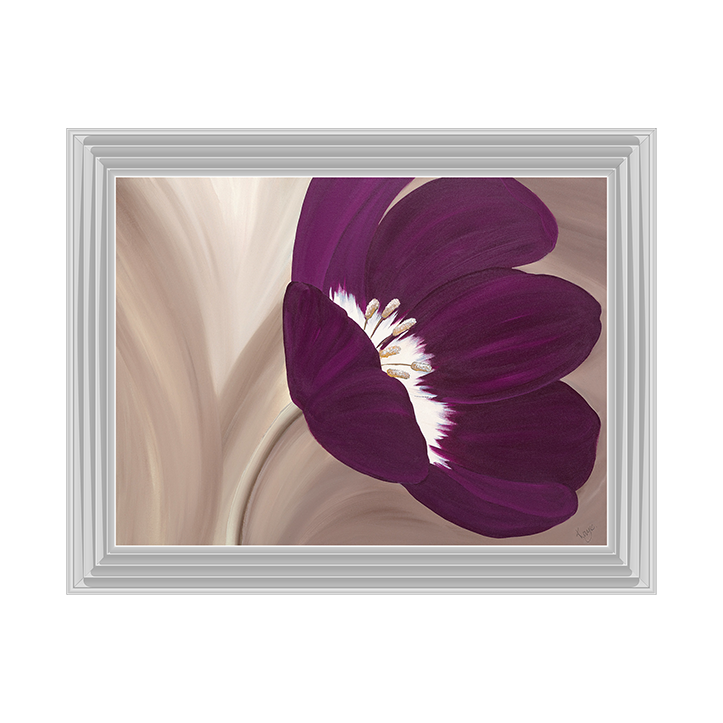 Velvet Poppy