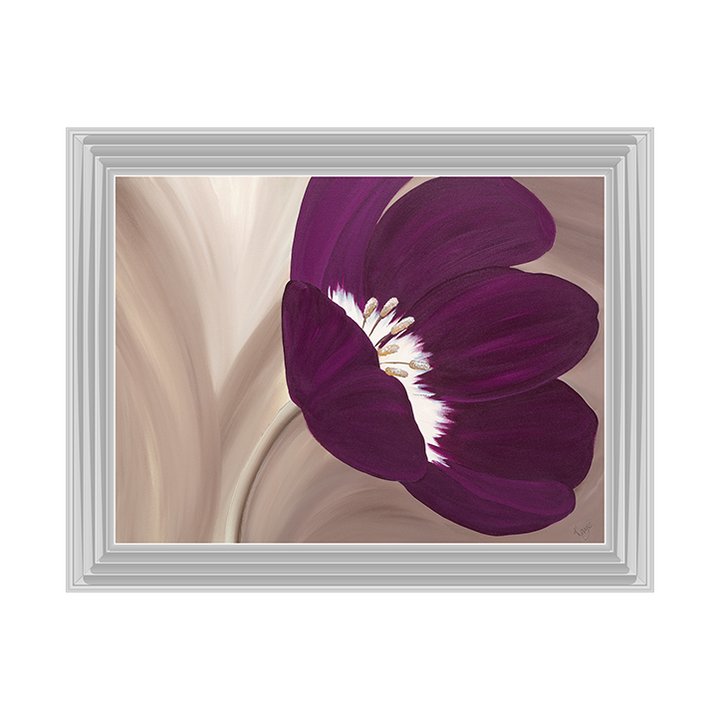 Velvet Poppy