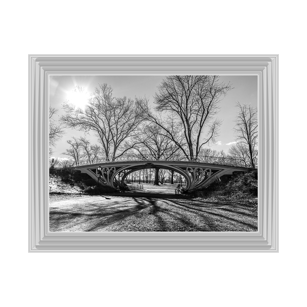 Walkway bridge in Central park, New York