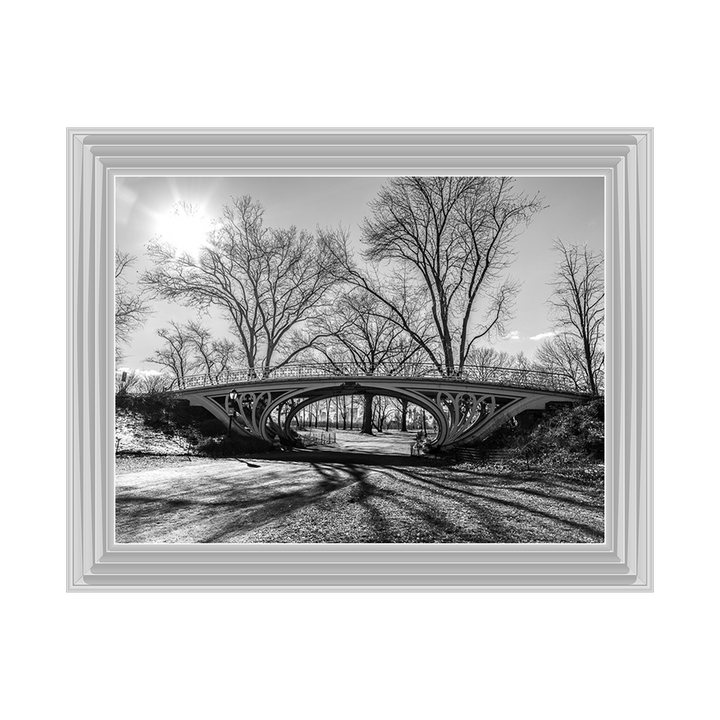 Walkway bridge in Central park, New York