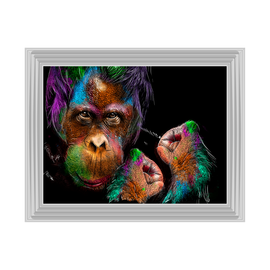 Orangutan