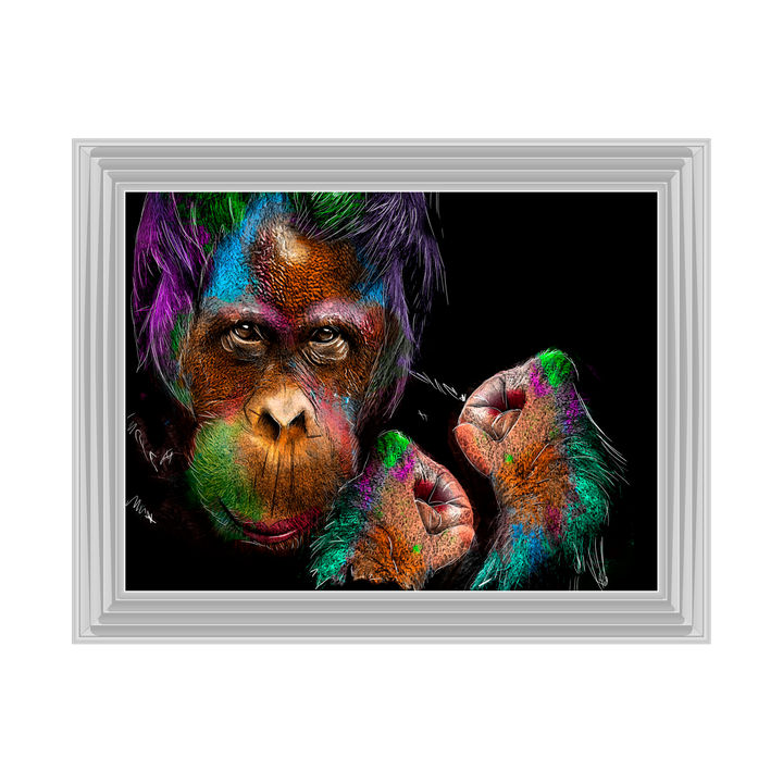 Orangutan