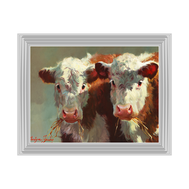 Cow Belles