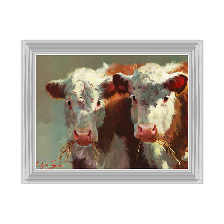 Cow Belles