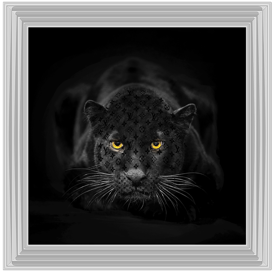 AN259 Black Jaguar