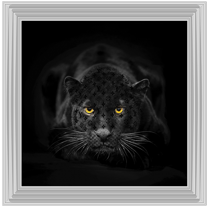 AN259 Black Jaguar