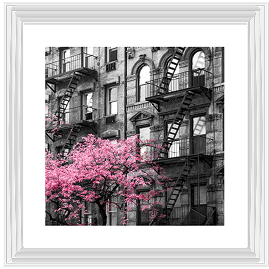 Pink City