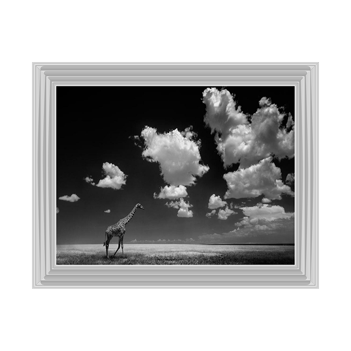 Ghizzi Panizza -Gone with the Clouds