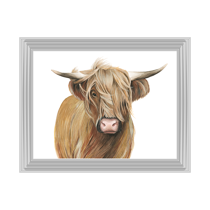 Highland Cattle I