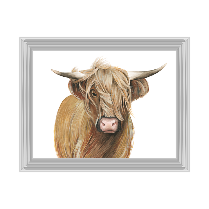 Highland Cattle I