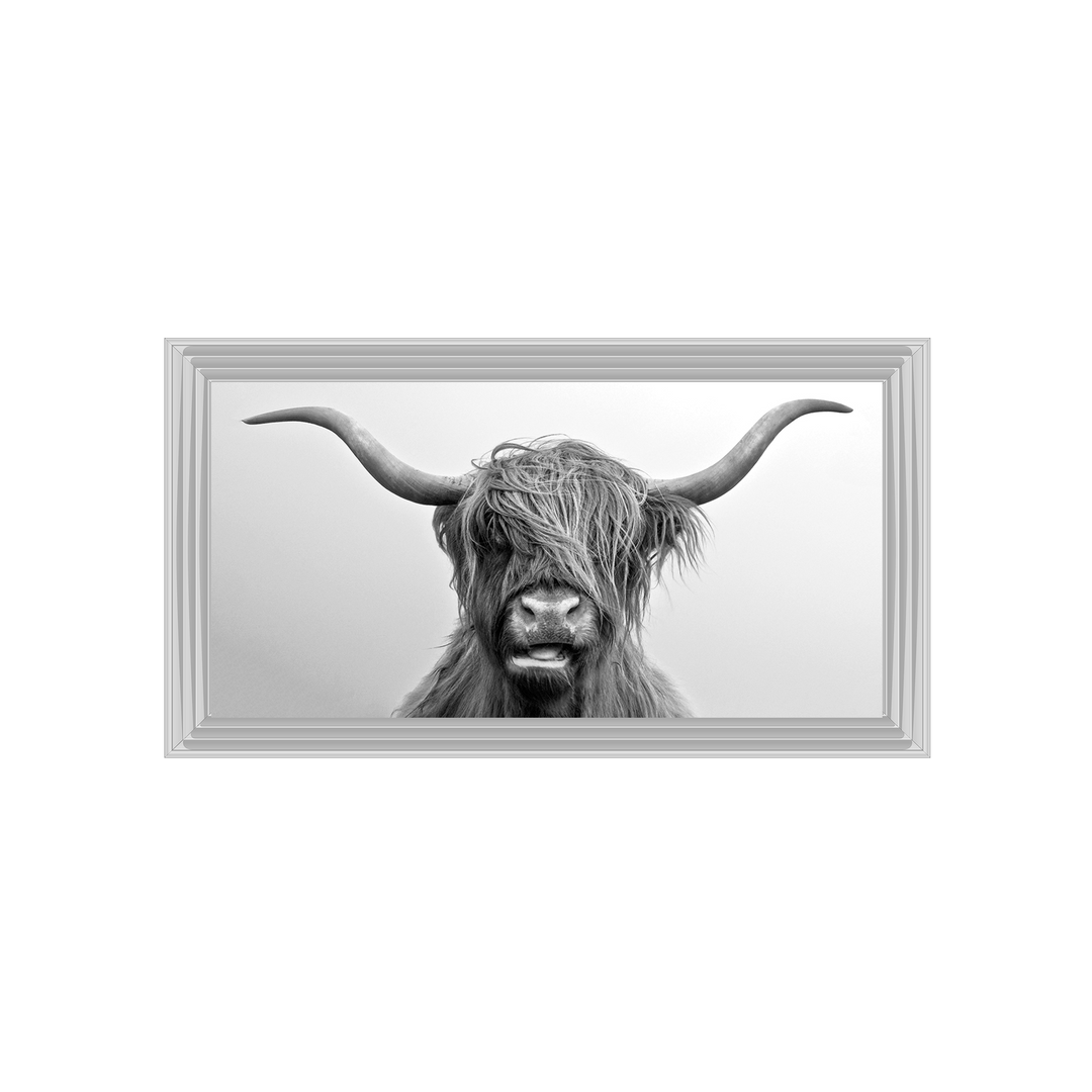 AN280 Highland Cow I