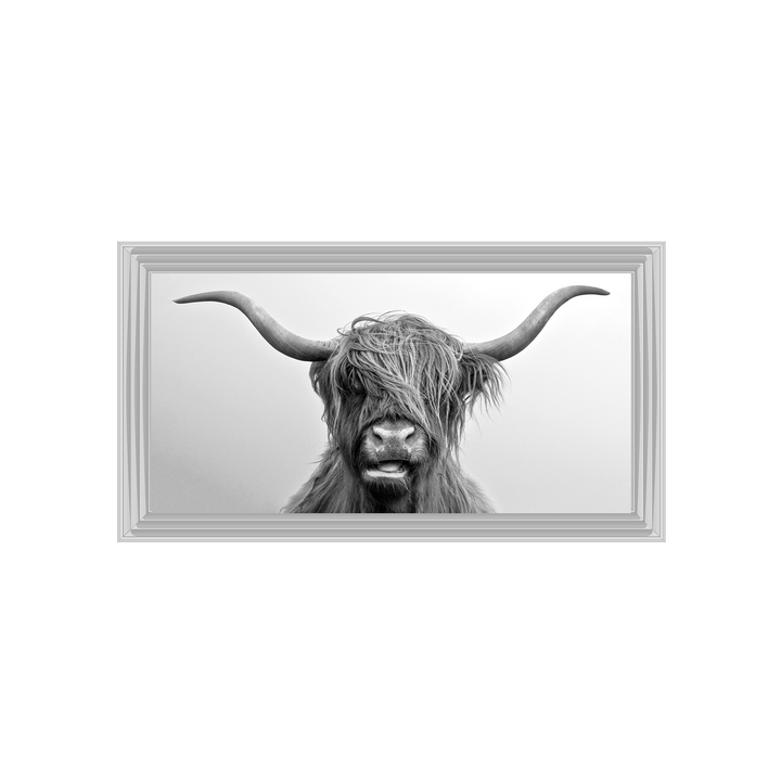 AN280 Highland Cow I