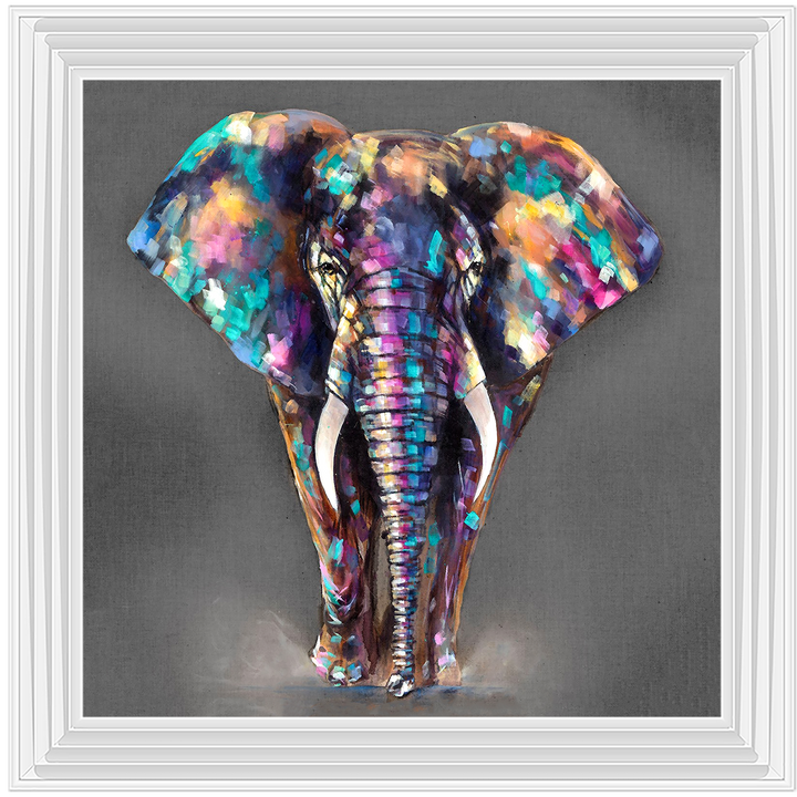 AN340 Colourful Elephant