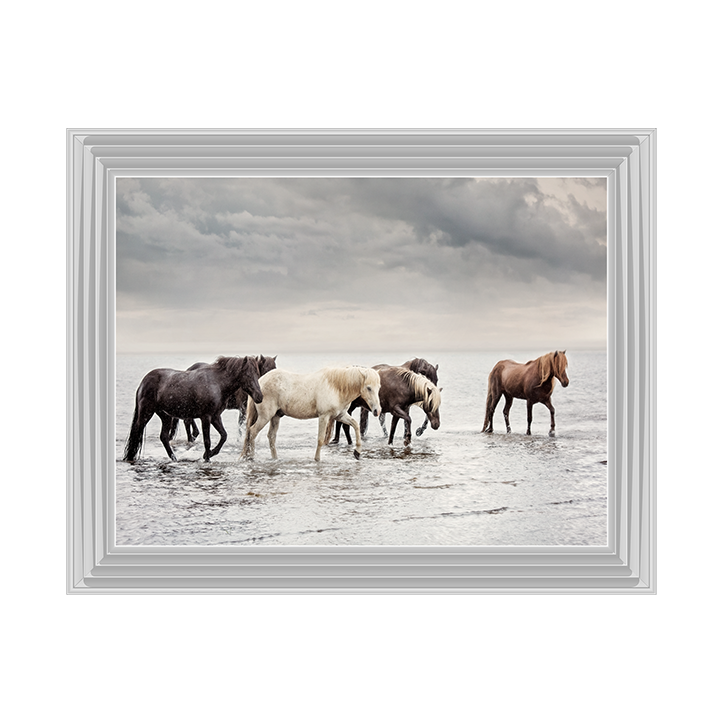 Water Horses IV