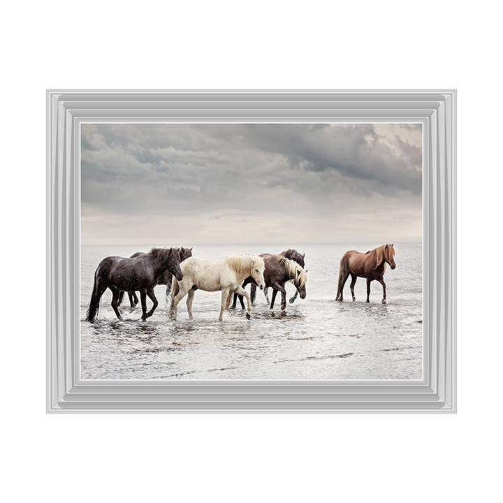 Water Horses IV