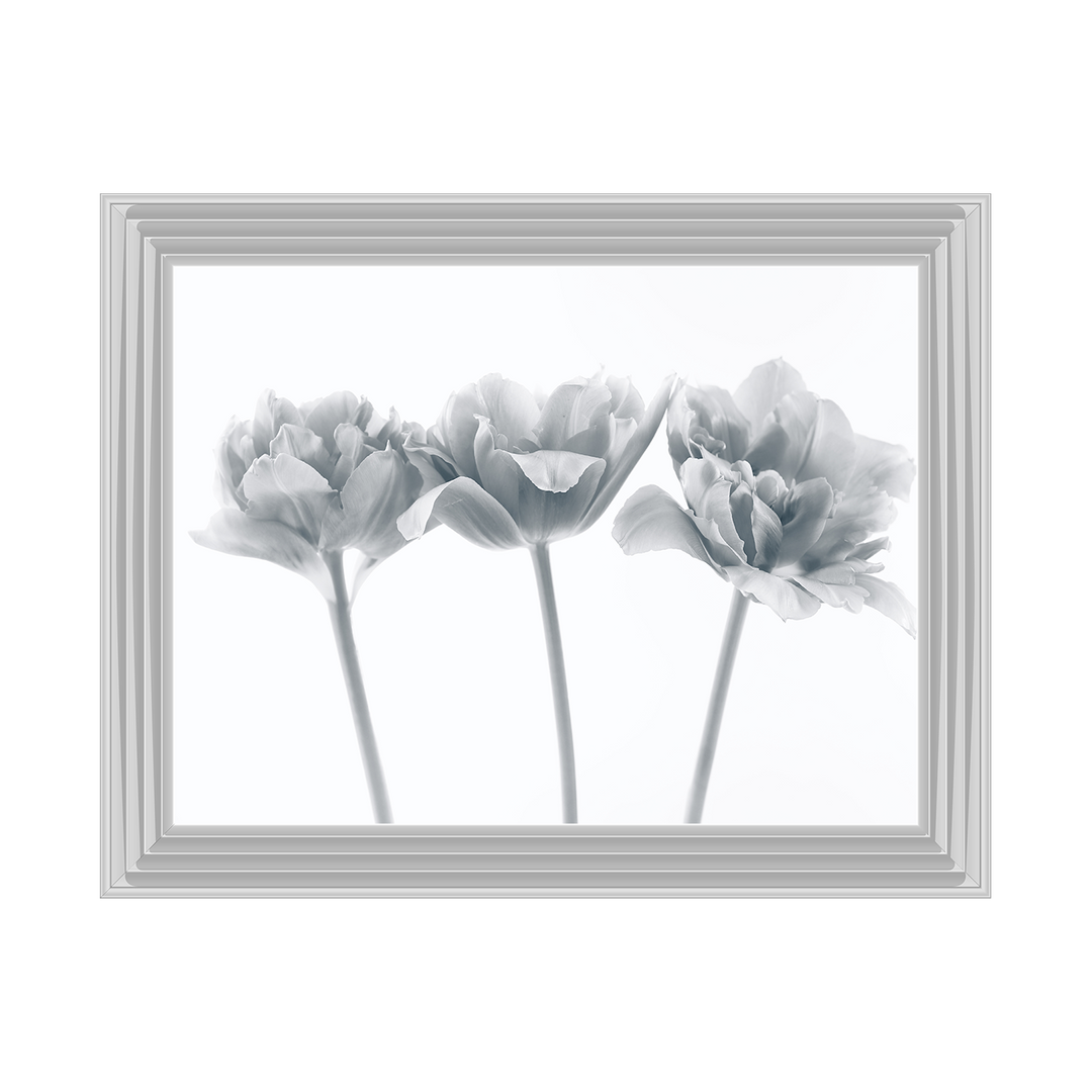 Set of 3 flowers II