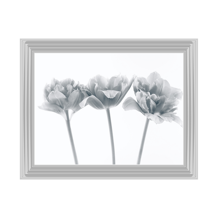Set of 3 flowers II
