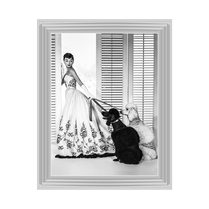 IC005 Audrey Hepburn Poodles