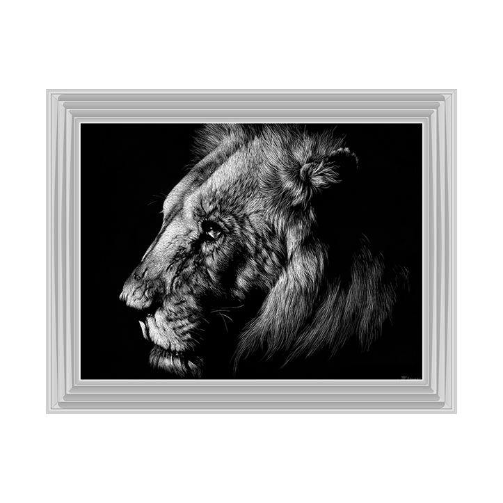 AN025 Wildlife Scratchboards I
