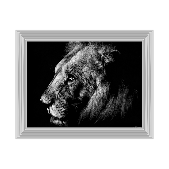 AN025 Wildlife Scratchboards I