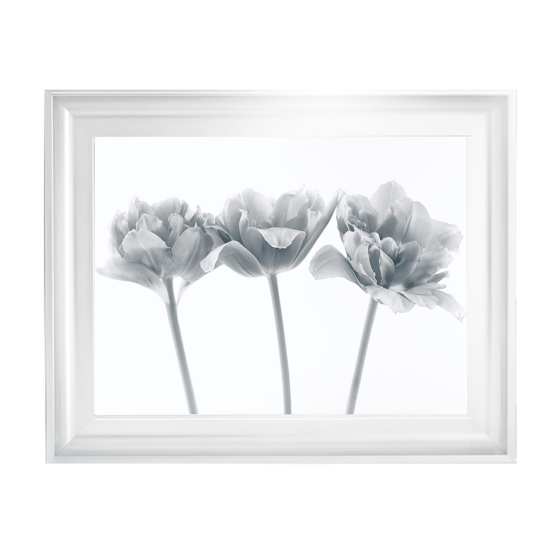 Set of 3 flowers II