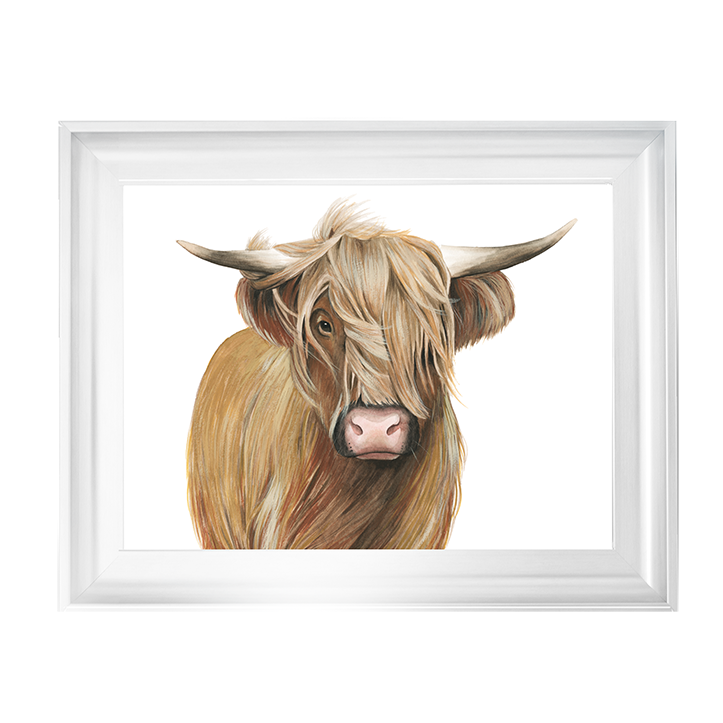 Highland Cattle I