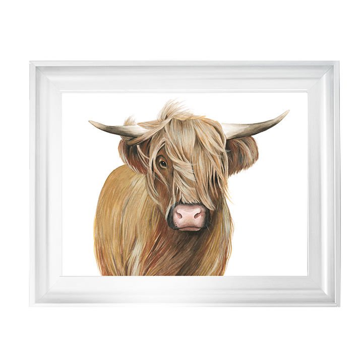 Highland Cattle I