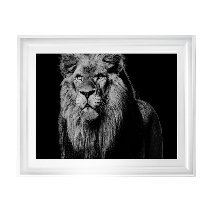 Dark Night Leo