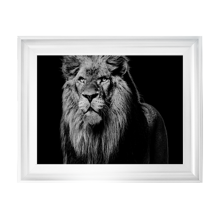 Dark Night Leo