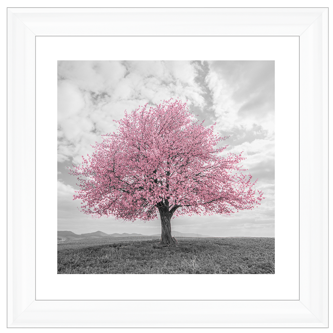 LS123 Pink Lone Tree