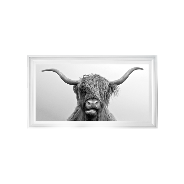 AN280 Highland Cow I