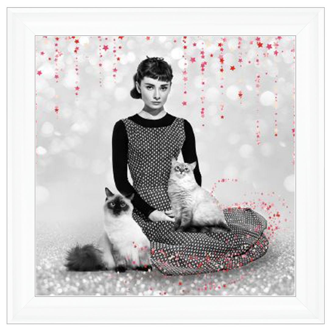 IC011 Audrey and cats