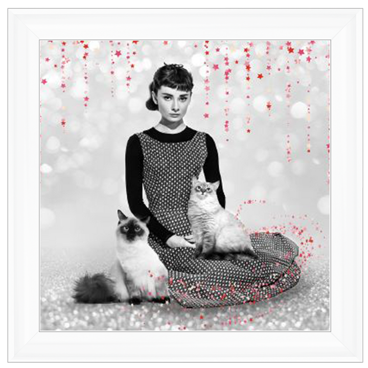 IC011 Audrey and cats