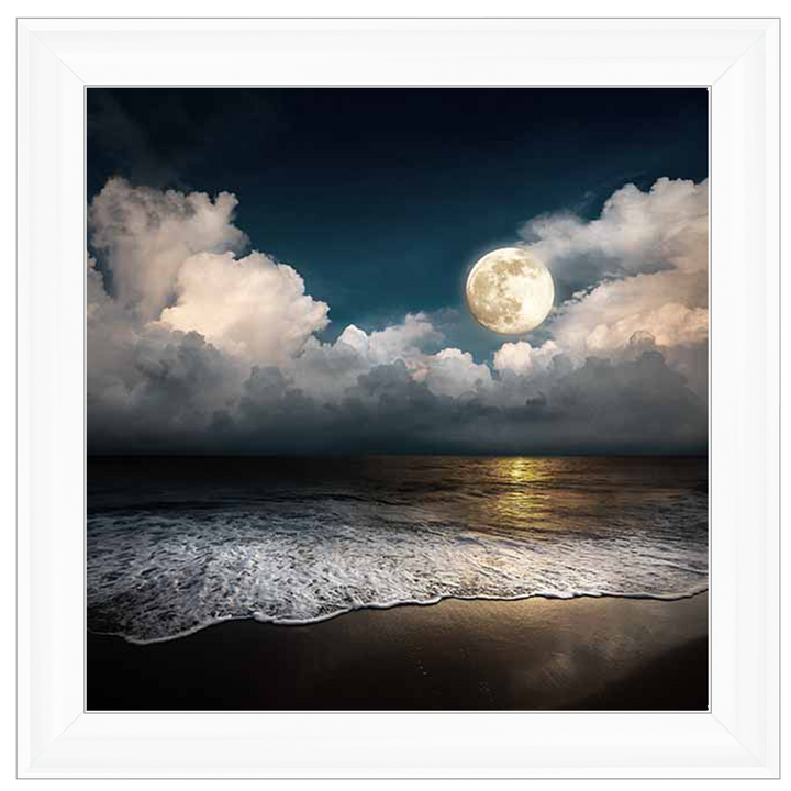 LS294 Full Moon At Twilight |