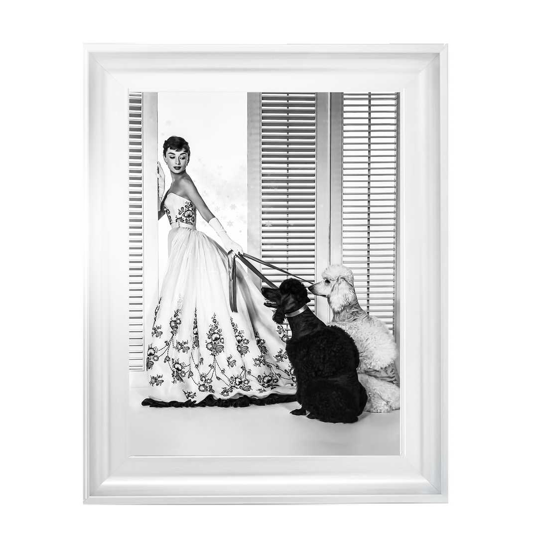 IC005 Audrey Hepburn Poodles