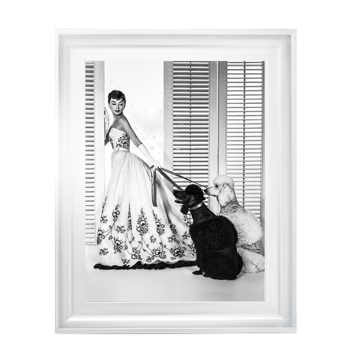 IC005 Audrey Hepburn Poodles