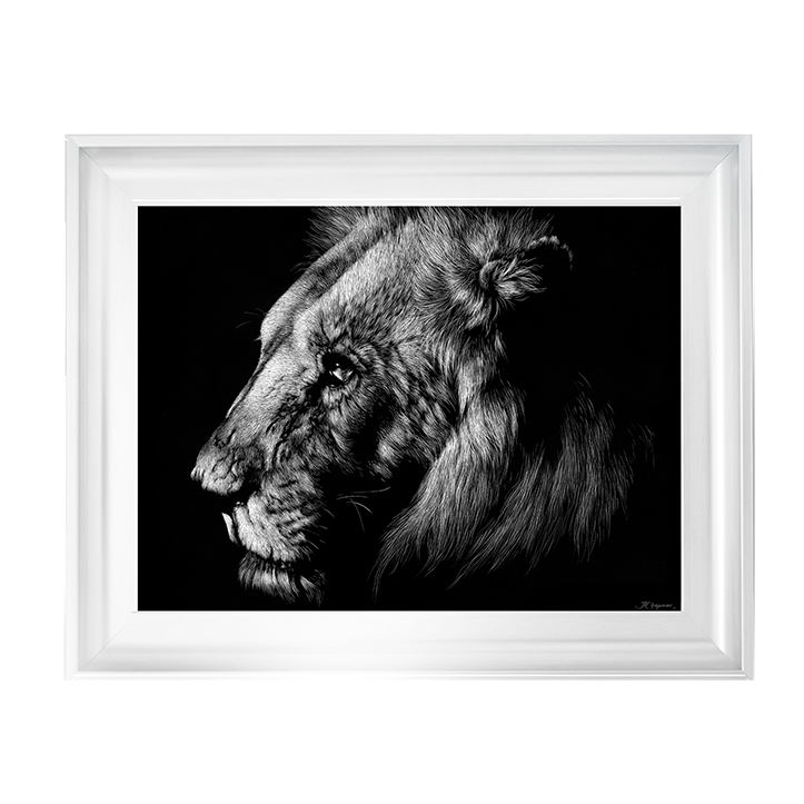 AN025 Wildlife Scratchboards I