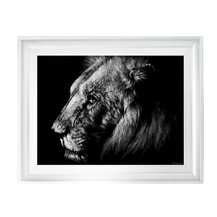 AN025 Wildlife Scratchboards I
