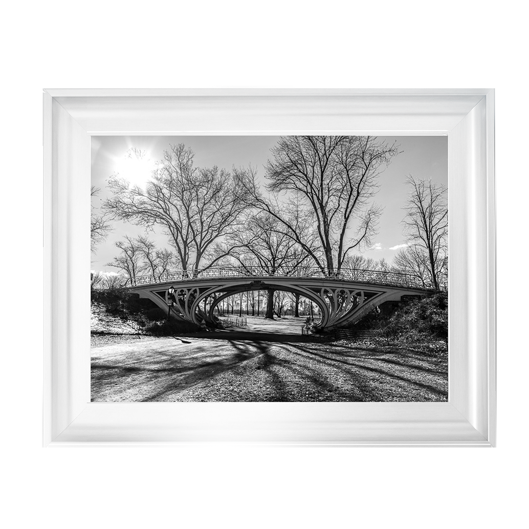 Walkway bridge in Central park, New York