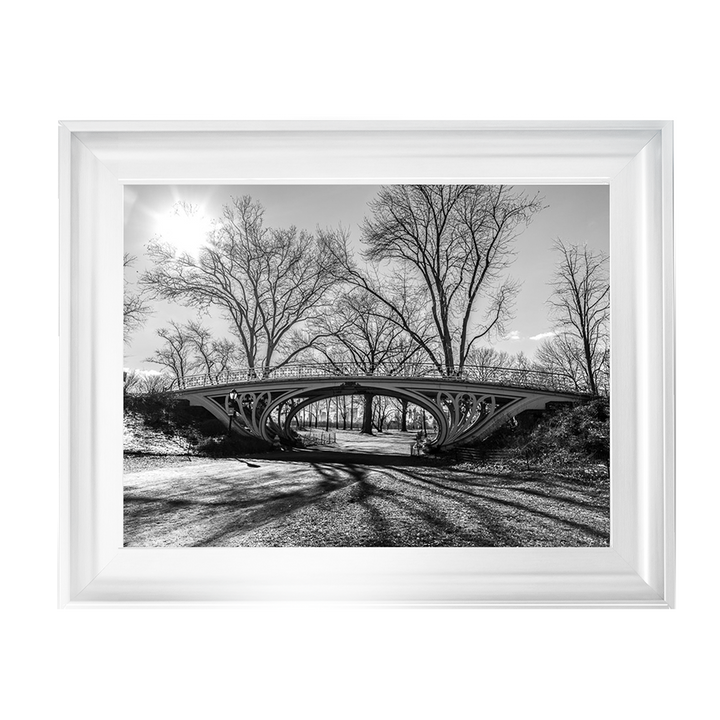 Walkway bridge in Central park, New York