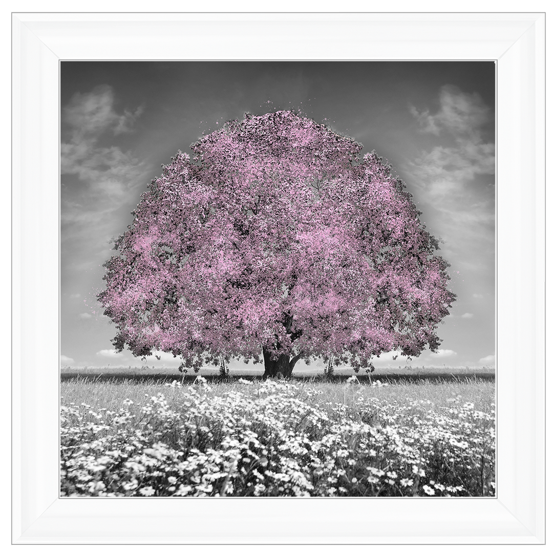 LS275 Pink Oak Tree