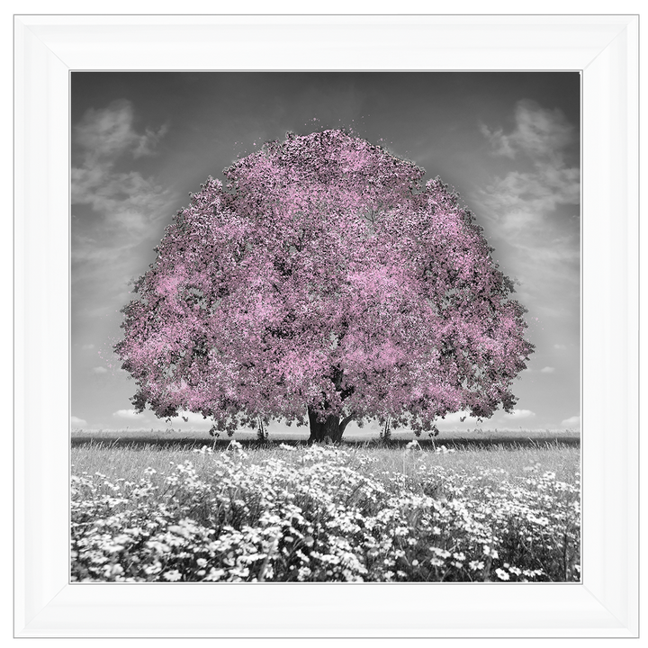 LS275 Pink Oak Tree