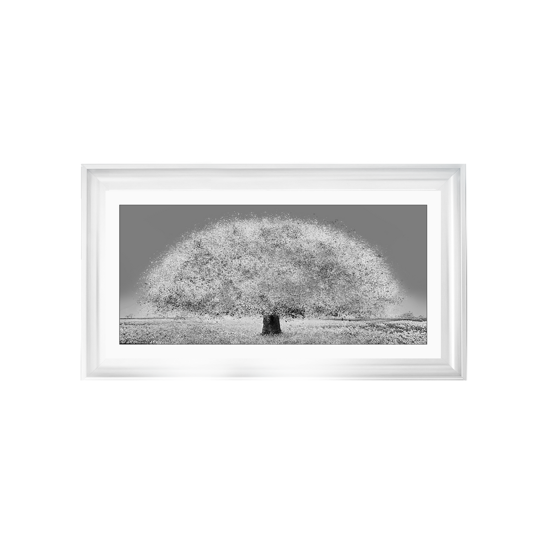 LS205 Black and white tree